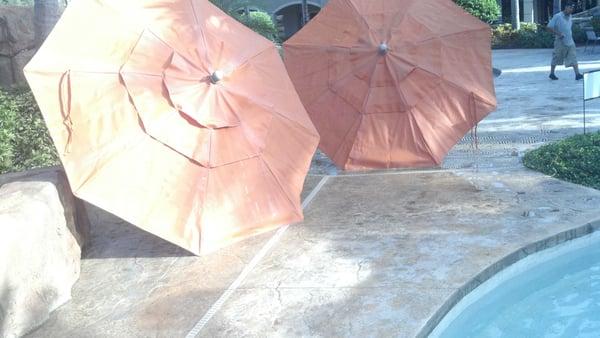 Washing pool umbrellas