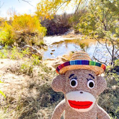 A peaceful moment in Sabino Canyon.