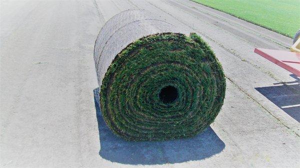 Meyers' Wholesale Turf