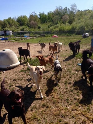 Fun day in daycare!