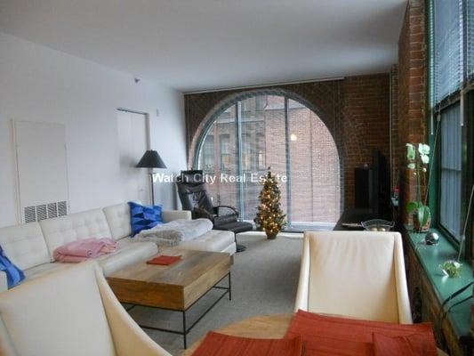 Luxury apartment on the Charles River