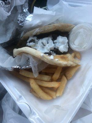 Basic Gyro and delicious fries