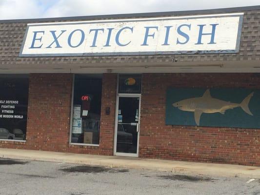 Exotic Fish