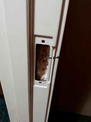 why would you need your door to stay shut?