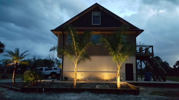 Brick Pavers, Palm Trees, Landscape Lighting