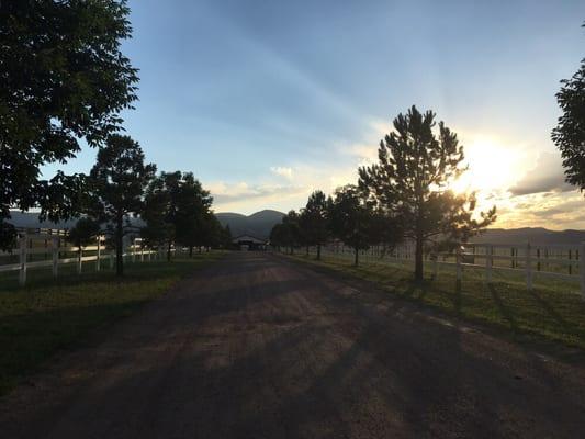 Driveway to barn