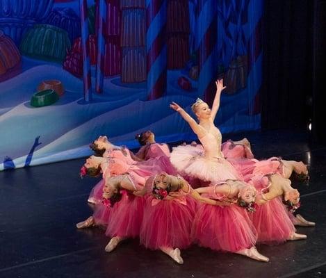 Annual performance of the full length Nutcracker Ballet