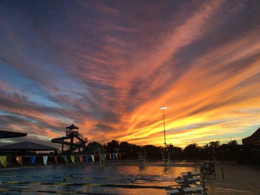 Mesa Swim Club Seadogs