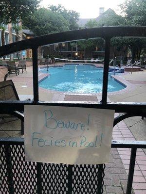 Beware Feces in Pool...