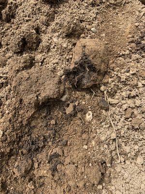 Clumps of clay and topsoil.