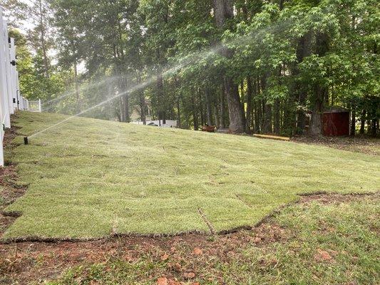 New sod and irrigation