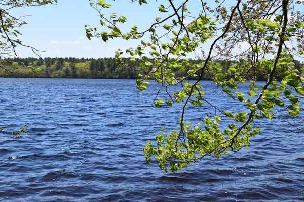 Yawgoo Pond Trail