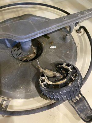 This is the dish washer. Looks like it has never been cleaned.