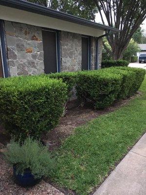 Front bed leading to walk way.