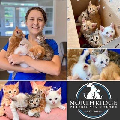 Northridge, where pets come first!