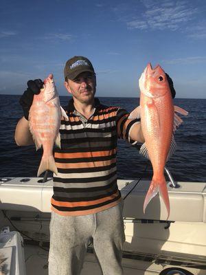 Deep water snappers