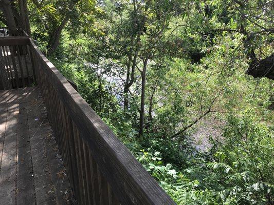 Creek overlook boardwalk. Short but sweet.