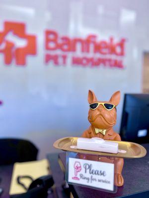 Banfield Pet Hospital