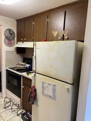 Kitchen before clean out and Demo