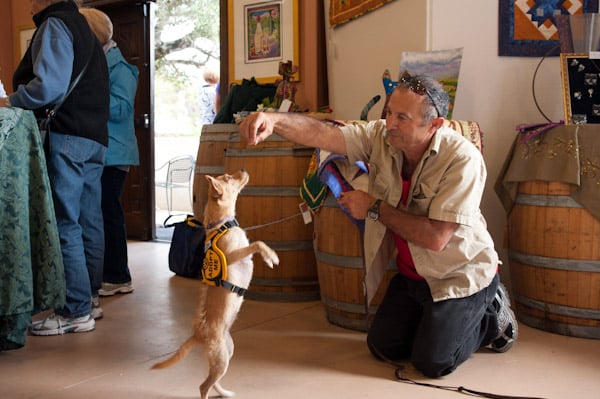 Adoptable Santa Cruz SPCA dog Bizzy and her favorite volunteer, David.