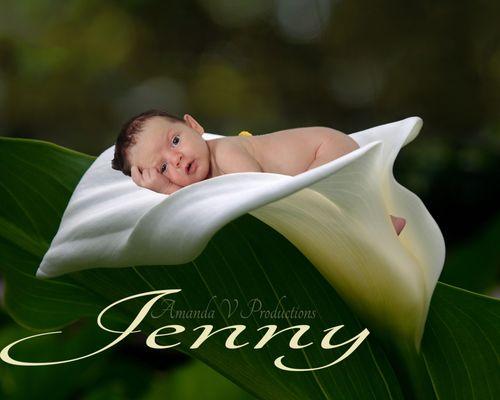 New born Fine Art style shoot.