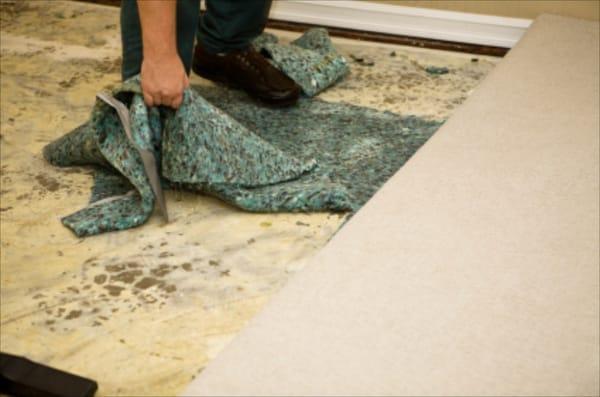 Wet Carpet Pad Can Lead to Mold