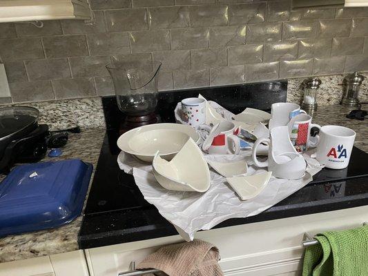 6 mugs, dishes, vase, LeCrueset lid --All broken non reparable