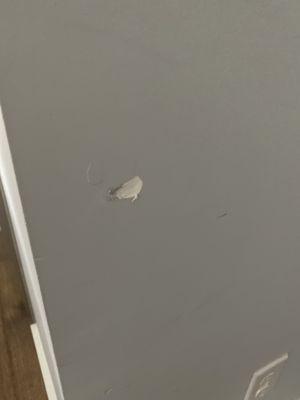 Dented wall. No apology. Zero care for the house or furniture.