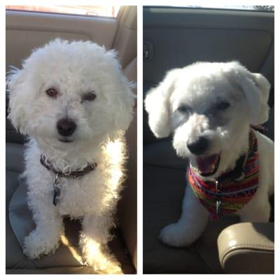 Casper before and after @ Bubble & Bones :)