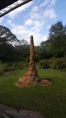 Termite mounds