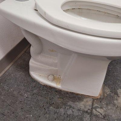 Urine and pubic hair corroded at the base of the toilet, and floor was disgusting.