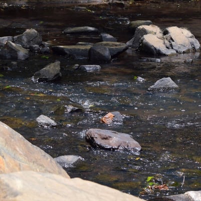 at the Low Water Crossing: NE Park