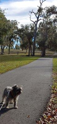 Always ready for a park walks.