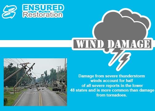 Wind Damage Restoration Services in South Mississippi