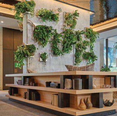 Modular living wall. Design, fabrication, installation, maintenance provided by Articulture Designs