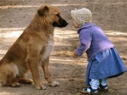 Kids and dogs, dog bite prevention training. Silver Spring, Rockville MD