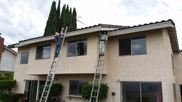 Termite damaged wood repair work