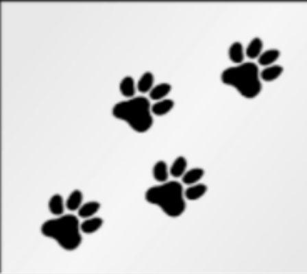 Carl dog walking Logo