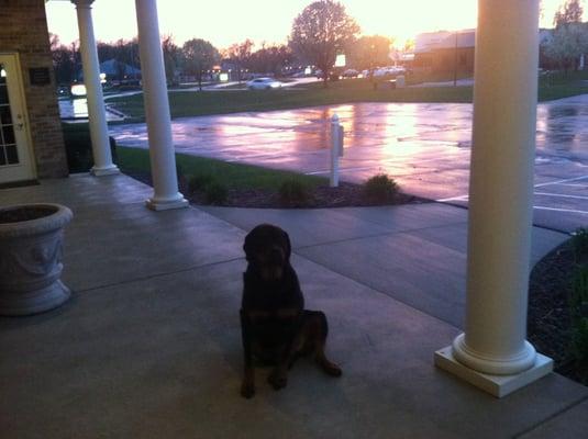 My friday office friend at sunset