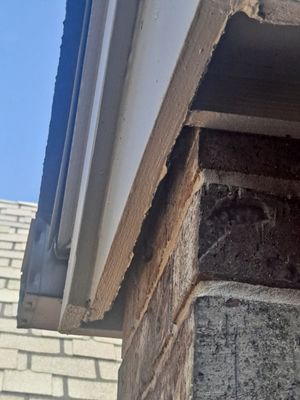 This is the gaps they left in the trim