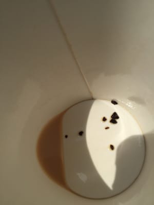 In my coffee. Gross.