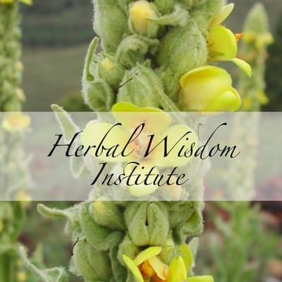 Herbal Wisdom Institute in Prescott Valley, AZ