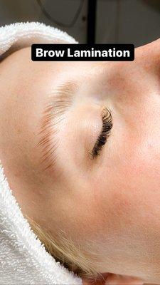 Brow Lamination