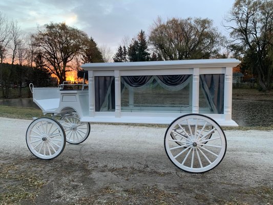 White Horse Drawn Hearse