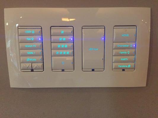 Custom engraved buttons programmed to do whatever you like.  Turn on lights throughout your home at various levels, turn on a TV & more.