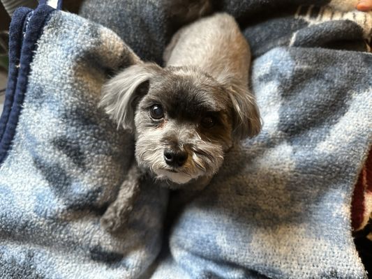 Bentley after a luxury spa-day with miss Stacy