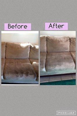 Microsoft fiber sofa, when you love your furry babies things can get pretty ugly.