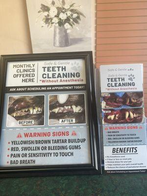 We provide teeth cleaning services!