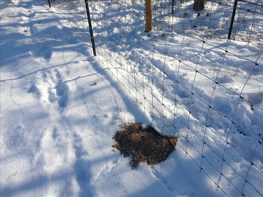 Idaho Gopher Control