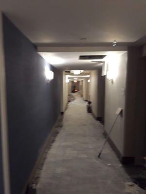 Hallway in the new Hilton downtown Colorado Springs that we did repaint and touch up on all 10 floors